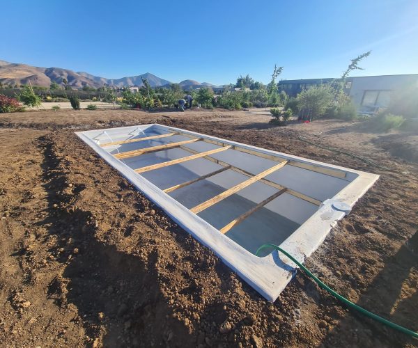 PHOTO-2025-01-24-11-32-57 2