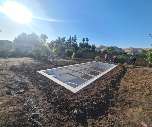 PHOTO-2025-01-24-11-32-58