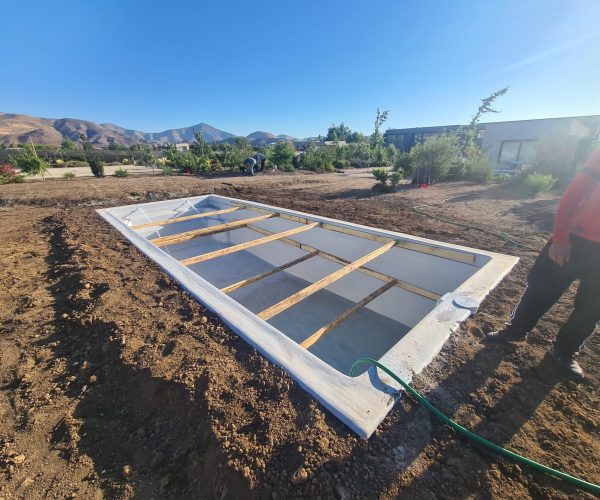 PHOTO-2025-01-24-11-32-59