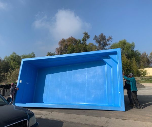 WhatsApp Image 2024-08-12 at 21.14.10