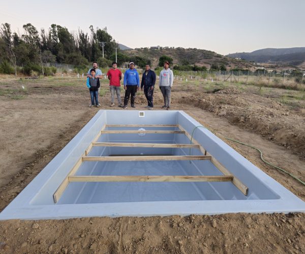 WhatsApp Image 2024-08-12 at 21.15.01